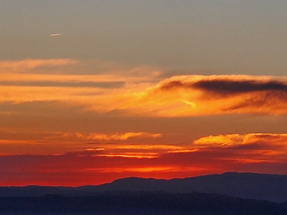 1.1 한의사랑 2020년 일출 신년회