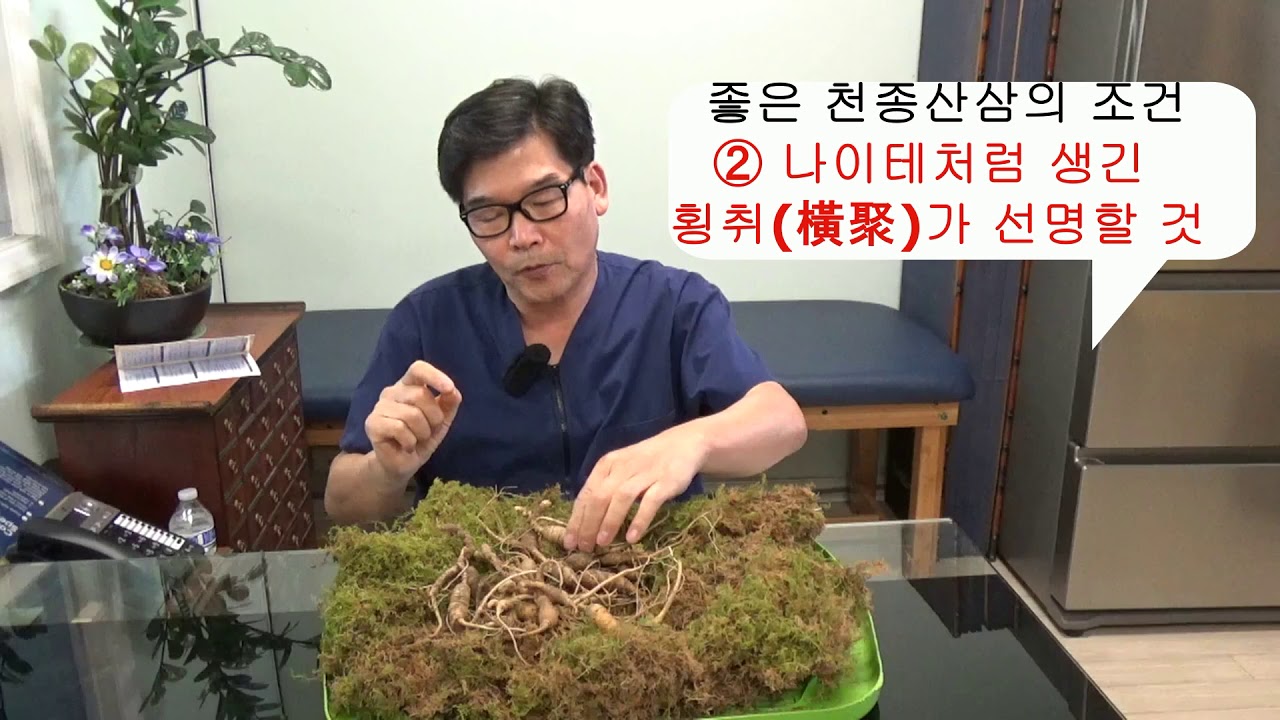업체 탐방 ‘만나고 싶었습니다!’ ② 애팔래치아 산맥 천종산삼