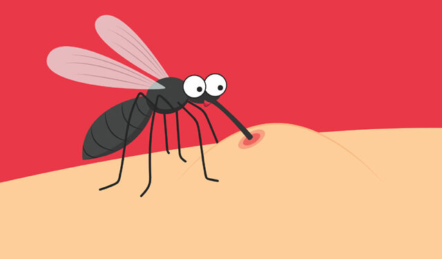 “왜 모기는 유독 나만 물까?”…피부 서식 미생물 작용