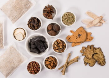 보약 효과에 대한 ‘생물학적 메커니즘’ 밝혀져