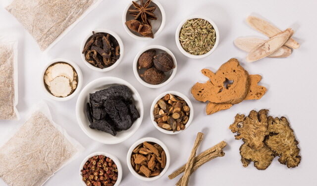 보약 효과에 대한 ‘생물학적 메커니즘’ 밝혀져