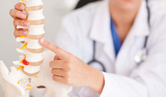 한약재 ‘천수근’, 동물실험서 척추관협착증 치료에 효과