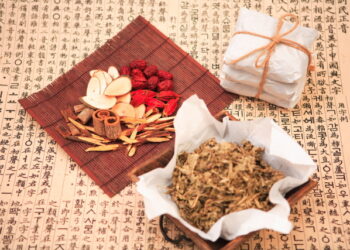 육군자탕의 ‘인지개선 효과’ 확인