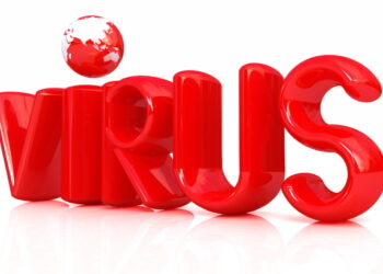 연잎 유래 성분 독감 바이러스 억제 효능 확인