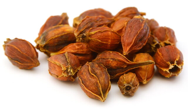 치자·실리마린, 간 손상·간 섬유종에 유효성 ‘입증’