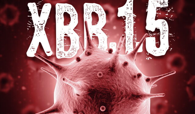 美 오미크론 변이 XBB.1.5 감염, 일주일 새 18.3%→27.6%
