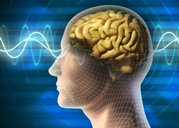 치아 건강, 뇌 건강과도 관계있다