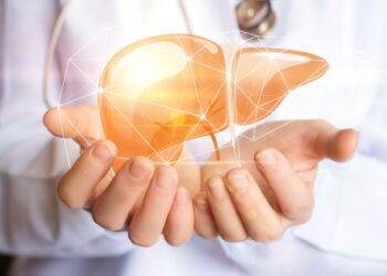 울금의 간 세포 보호 및 간 독성 억제 효과 확인