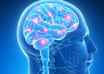 그냥 멍 때리는 줄 알았더니…뇌전증?