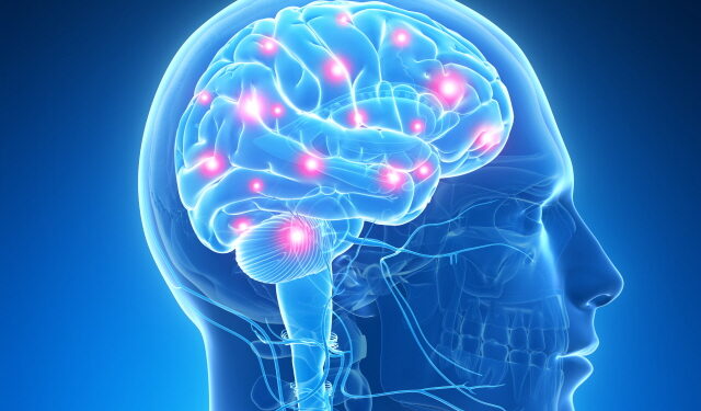 그냥 멍 때리는 줄 알았더니…뇌전증?