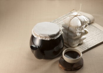 자음건비탕, “만성 어지럼증 개선”