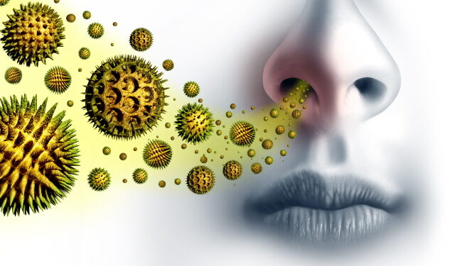 알레르기 재발 막는 효과적인 방법은?