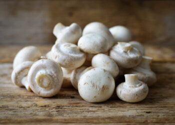 양송이버섯 활용 혈당 강하 물질 개발