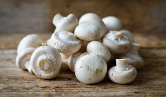 양송이버섯 활용 혈당 강하 물질 개발