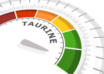 해산물과 에너지음료 함유된 타우린, 노화 늦춰