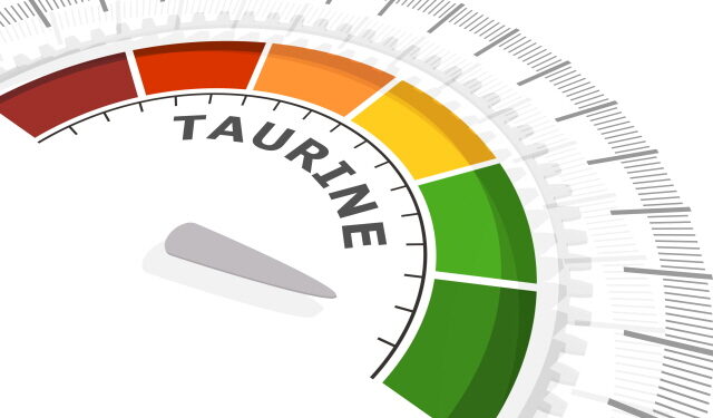 해산물과 에너지음료 함유된 타우린, 노화 늦춰