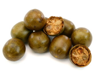 전통 약재 ‘나한과’ 추출물, 만성폐질환 완화에 효능