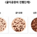 여름철엔 골다공증 골절에 주의