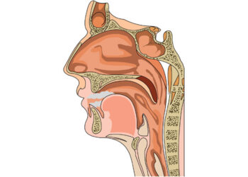 치매 가능성 높이는 후각장애, 한방치료가 효과적!