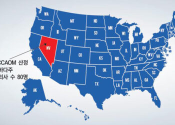 미국 각 주별 한의사 (31) 네바다주, 면허발급 완화∙ 타주 한의사도 OK!