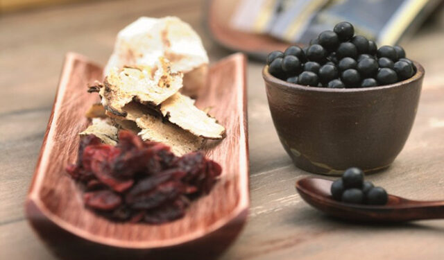 ‘육공단(공진단+육미지황환)’, 면역력 증강 효과 과학적으로 입증