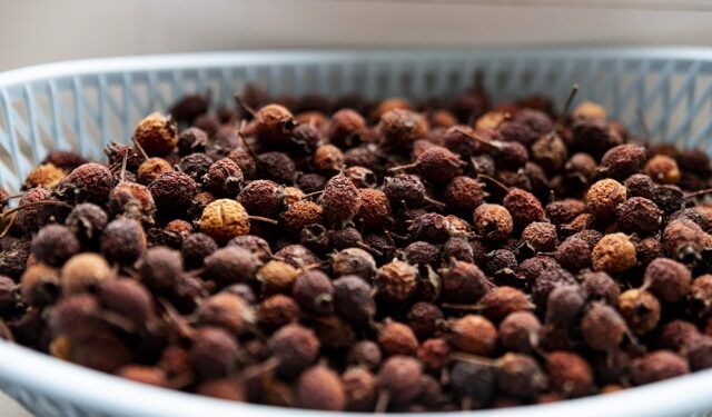 새 품종 ‘산사’, 장 질환 개선효능 확인