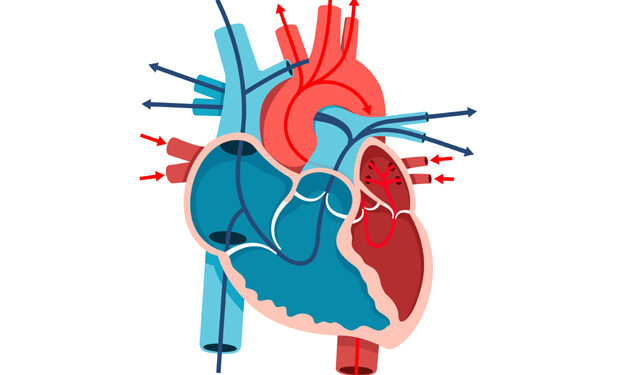 제대로 뛰지 않는 심장 ‘심부전’ 주의