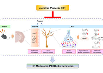 PTSD, 태반 추출물 ‘자하거’ 약침으로 치료