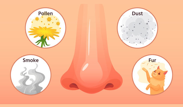 봄철 코막힘·재채기, 원인 및 예방