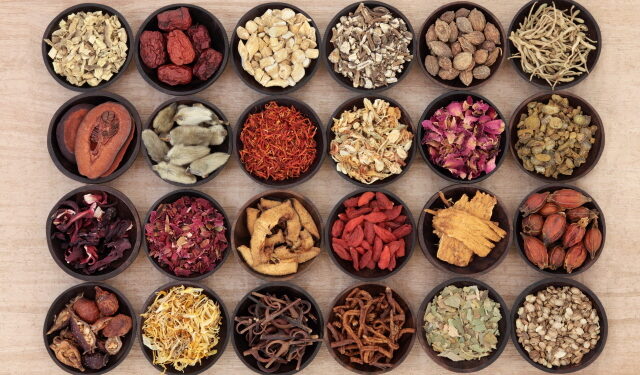 세계 각국의 한방 침술과 한약 처방 최신 동향 (2) 한약처방