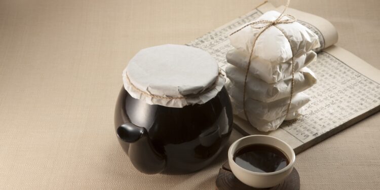 “한약(귀비탕) 먹으면 머리 좋아진다” 동물임상서 확인