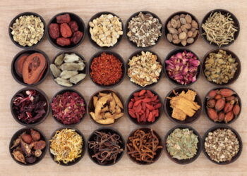 조현창 원장의 TEM (56) 백호탕증, 잘 안 아프지만 ‘잠꼬대∙몽유∙급성염증’ 생길 수도