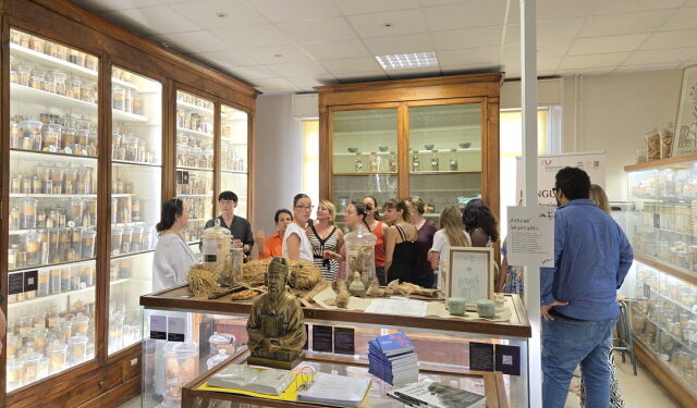 프랑스 ‘몽펠리에 의약박물관’에 ‘한국 한약 섹션’ 개설