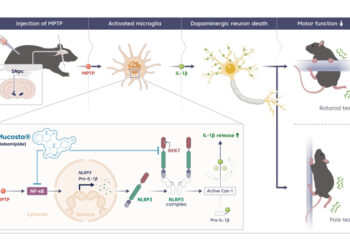 위장약에서 ‘파킨슨병 치료 실마리’ 찾아