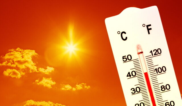 “올해 더 덥다”…한의학으로 건강한 여름나기