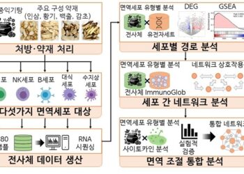 면역항암제 돕는 ‘보중익기탕’ 면역조절 원리 확인