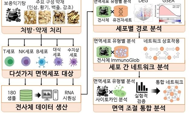 면역항암제 돕는 ‘보중익기탕’ 면역조절 원리 확인