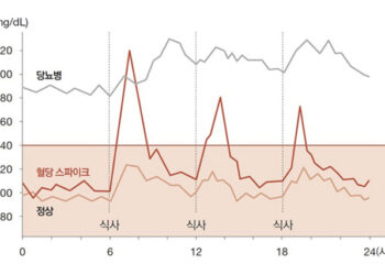 빵 먹고 혈당 160↑”…’혈당 스파이크’ 오해와 진실