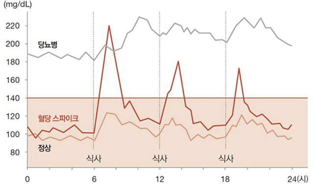 빵 먹고 혈당 160↑”…’혈당 스파이크’ 오해와 진실