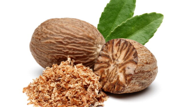 육두구, 장내 미생물 균형·항암 보조 가능성 주목