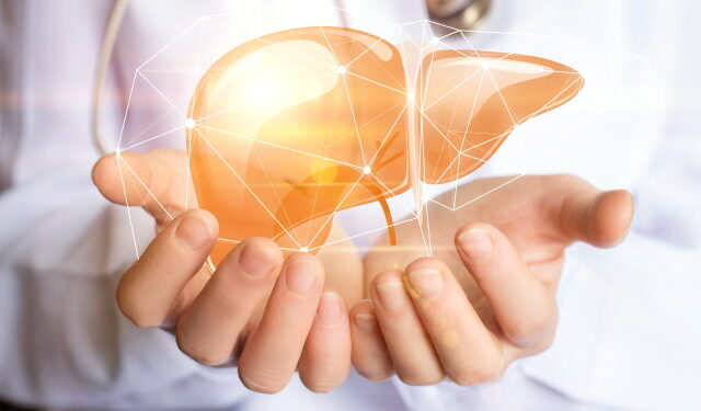 인진오령산(茵蔯五苓散), ‘지방간염 개선 효과’ 입증