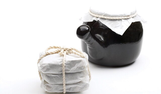 ‘도홍사물탕’, 신경염증 억제 효과 규명