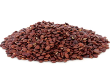 강주봉 원장의 한약처방 (30)  산조인탕, 신경성 불면증과 허번을 다스리는 대표 처방