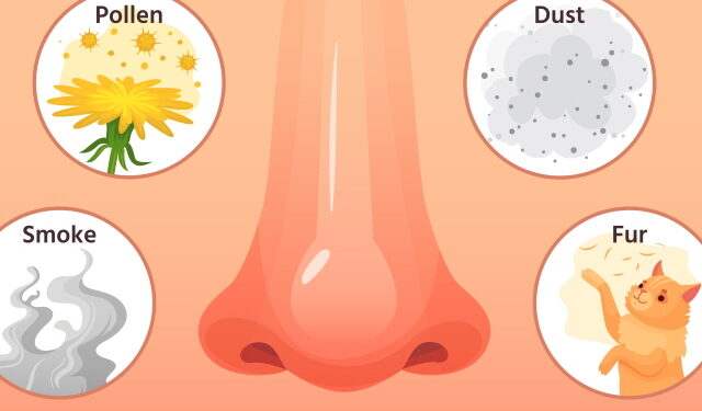 유난히 힘든 봄 알레르기, 이유는?