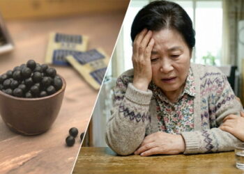 육공단, 기억력 담당하는 ‘해마 보호효과’ 확인