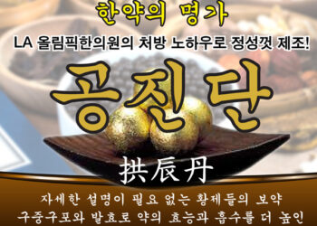 ‘산삼 발효 공진단’, ‘공진단’/ 각종 보약환/ 탕제/ 탕약