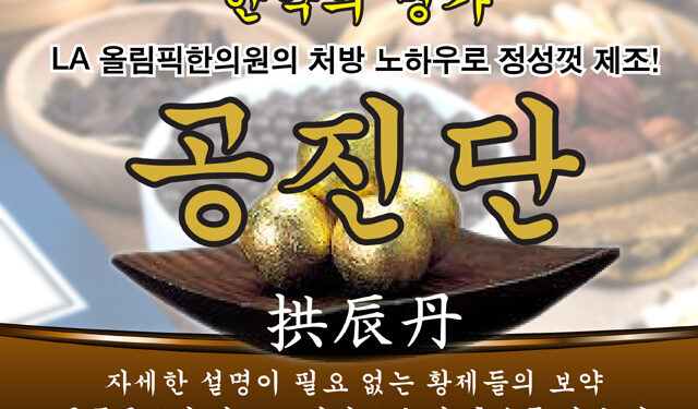 ‘산삼 발효 공진단’, ‘공진단’/ 각종 보약환/ 탕제/ 탕약
