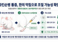 파킨슨병 통증, ‘양릉천(GB34) SU어혈’ 약침의 통증 완화 확인
