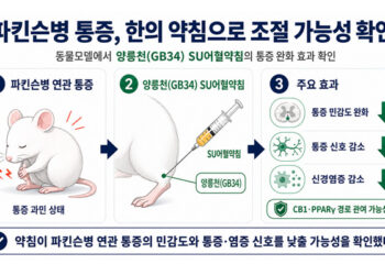 파킨슨병 통증, ‘양릉천(GB34) SU어혈’ 약침의 통증 완화 확인