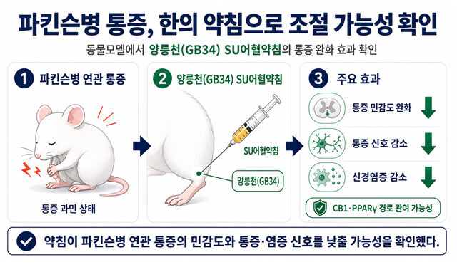 파킨슨병 통증, ‘양릉천(GB34) SU어혈’ 약침의 통증 완화 확인